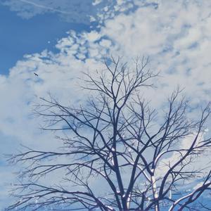 范冰冰大战黑金刚播放
